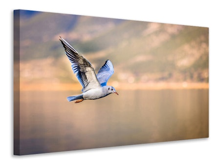 Ljuddämpande tavla - the flying seagull