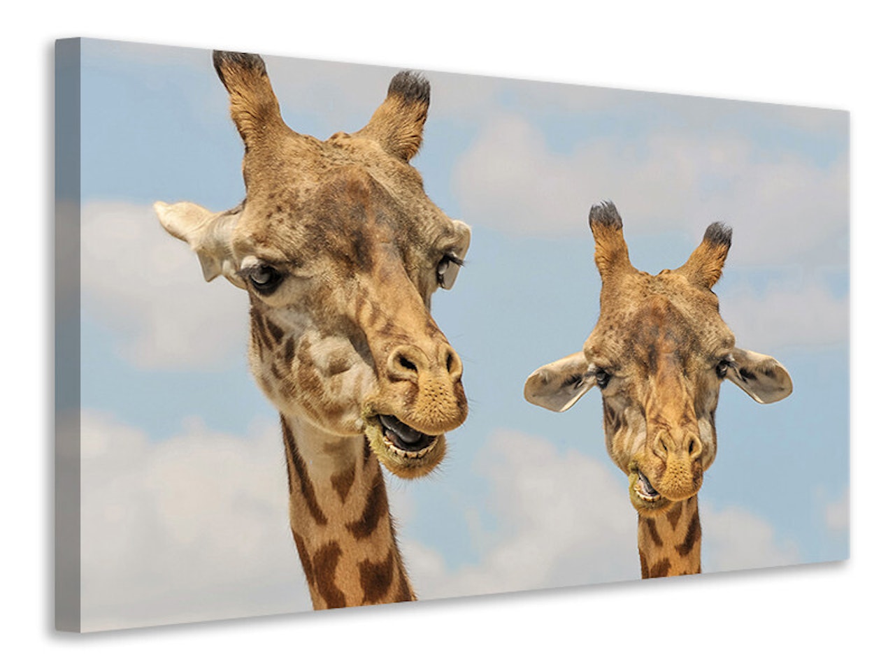 Ljuddämpande tavla - 2 giraffes