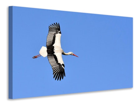 Ljuddämpande tavla - the stork in action