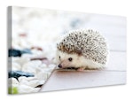Ljuddämpande tavla - the hedgehog baby
