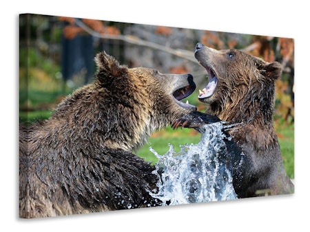 Ljuddämpande tavla - grizzly fight