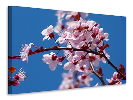 Ljuddämpande tavla - the almond blossom