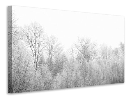 Ljuddämpande tavla - birches in the snow