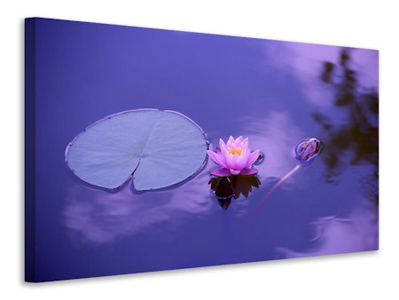 Ljuddämpande tavla - lotus flower