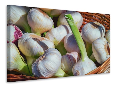 Ljuddämpande tavla - fresh garlic