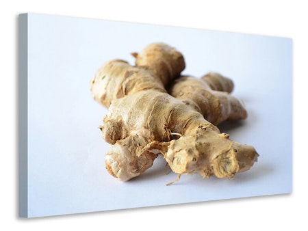 Ljuddämpande tavla - fresh ginger tuber
