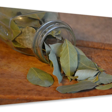 Ljuddämpande tavla - bay leaves