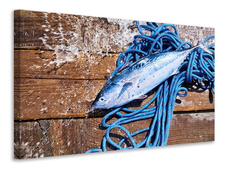 Ljuddämpande tavla - freshly caught fish