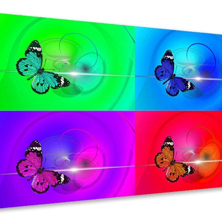 Ljuddämpande tavla - pop art colorful butterfly