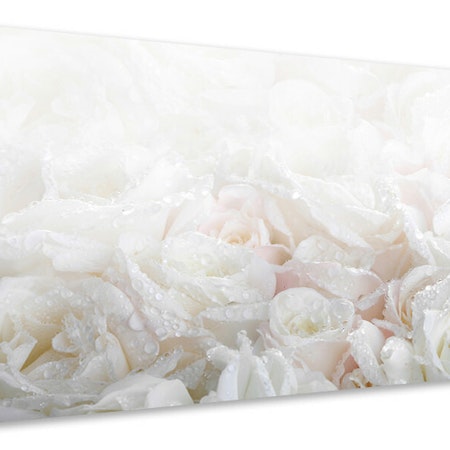 Ljuddämpande tavla - white roses in the morning dew