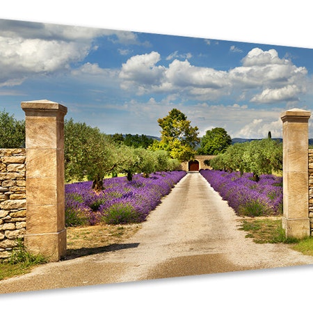 Ljuddämpande tavla - lavender garden