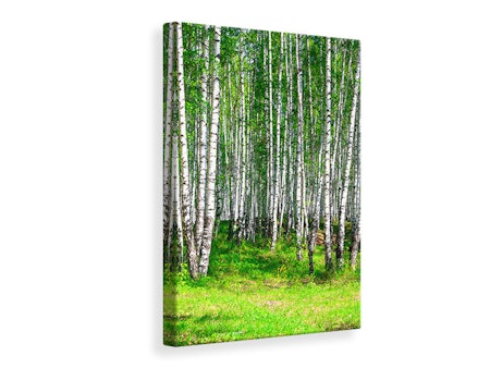 Ljuddämpande tavla - the birch forest in summer