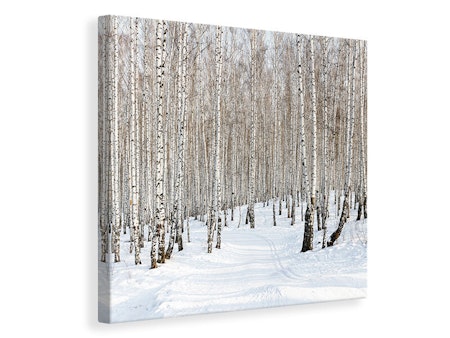 Ljuddämpande tavla - birch forest tracks in snow