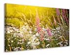 Ljuddämpande tavla - summer flower meadow