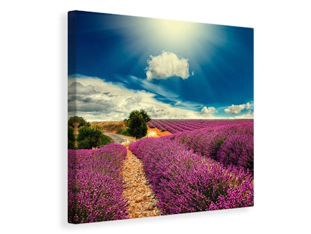 Ljuddämpande tavla - the lavender valley