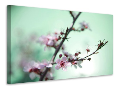 Ljuddämpande tavla - beautiful japanese cherry blossom