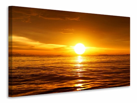 Ljuddämpande tavla - glowing sunset on the water
