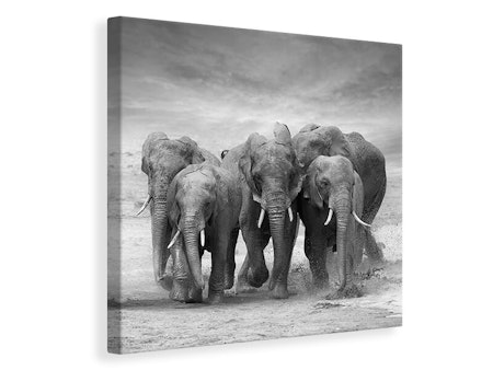Ljuddämpande tavla - the elephants