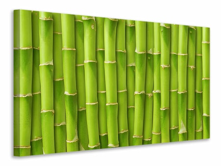 Ljuddämpande tavla - bamboo wall