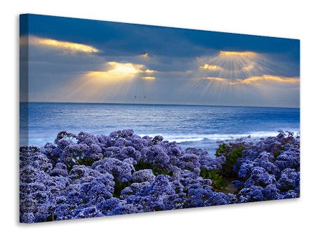 Ljuddämpande tavla - lavender and sea