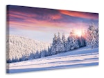 Ljuddämpande tavla - winter landscape