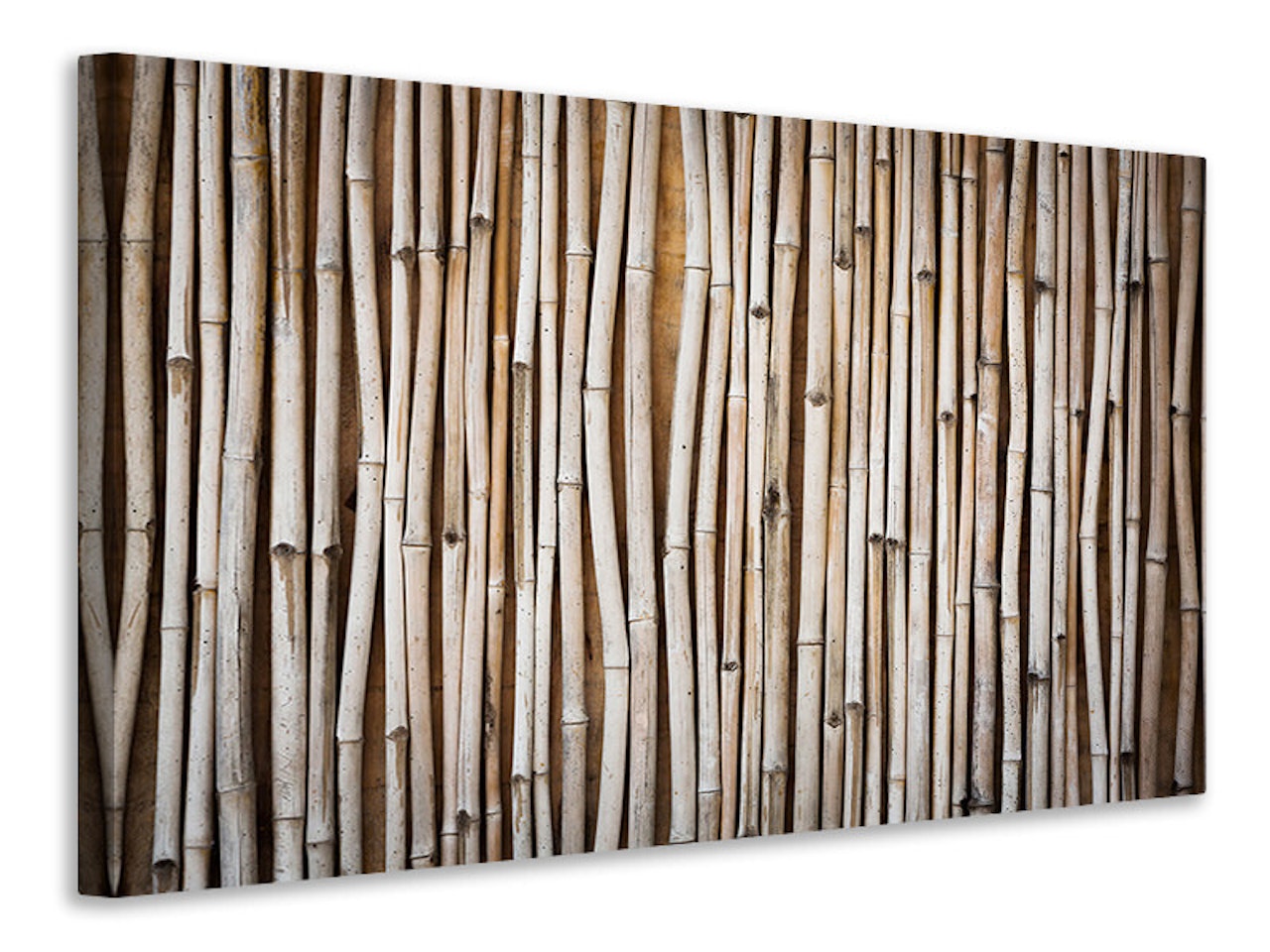 Ljuddämpande tavla - dried bamboos