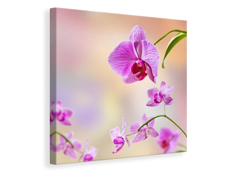 Ljuddämpande tavla - romantic orchids