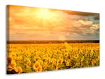 Ljuddämpande tavla - golden light sunflower
