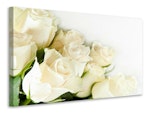 Ljuddämpande tavla - white roses