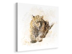 Ljuddämpande tavla - painting lynx