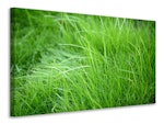 Ljuddämpande tavla - blades of grass