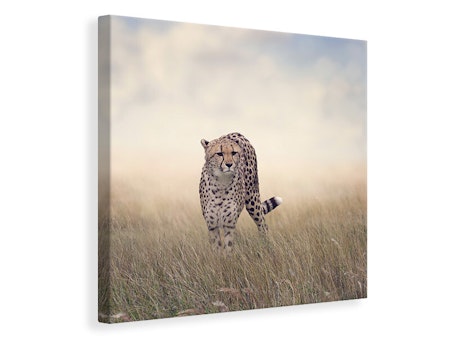 Ljuddämpande tavla - the cheetah