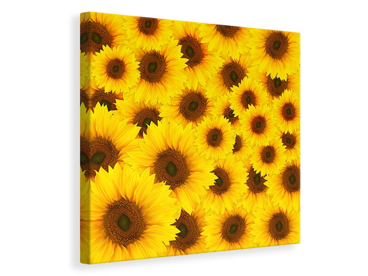 Ljuddämpande tavla - a bouquet sunflower