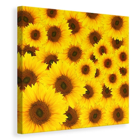 Ljuddämpande tavla - a bouquet sunflower