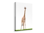 Ljuddämpande tavla - the long giraffe