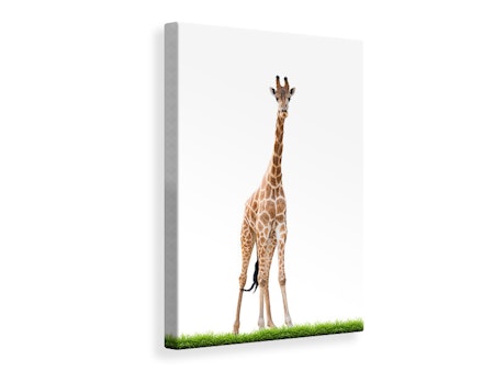 Ljuddämpande tavla - the long giraffe