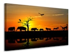 Ljuddämpande tavla - safari animals at sunset