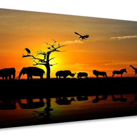 Ljuddämpande tavla - safari animals at sunset