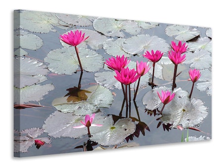 Ljuddämpande tavla - jump in the lily pond