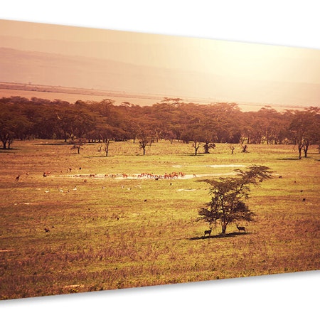 Ljuddämpande tavla - picturesque africa