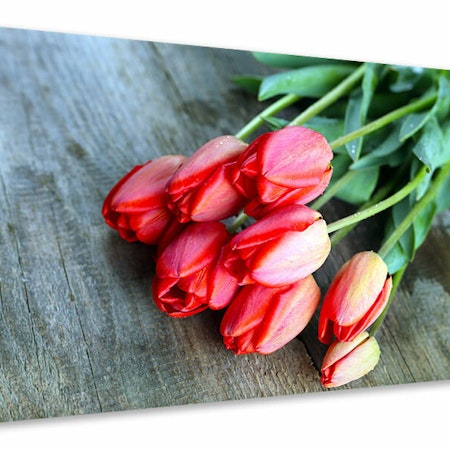 Ljuddämpande tavla - the red tulip bouquet