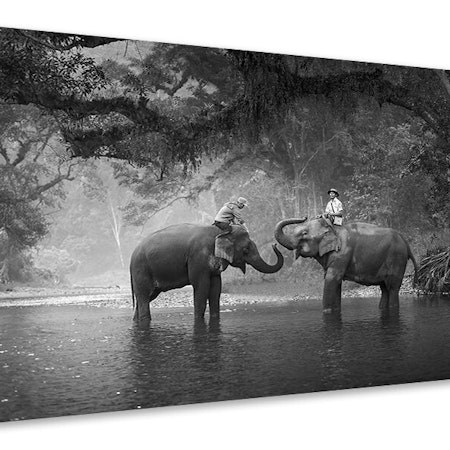 Ljuddämpande tavla - two elephants
