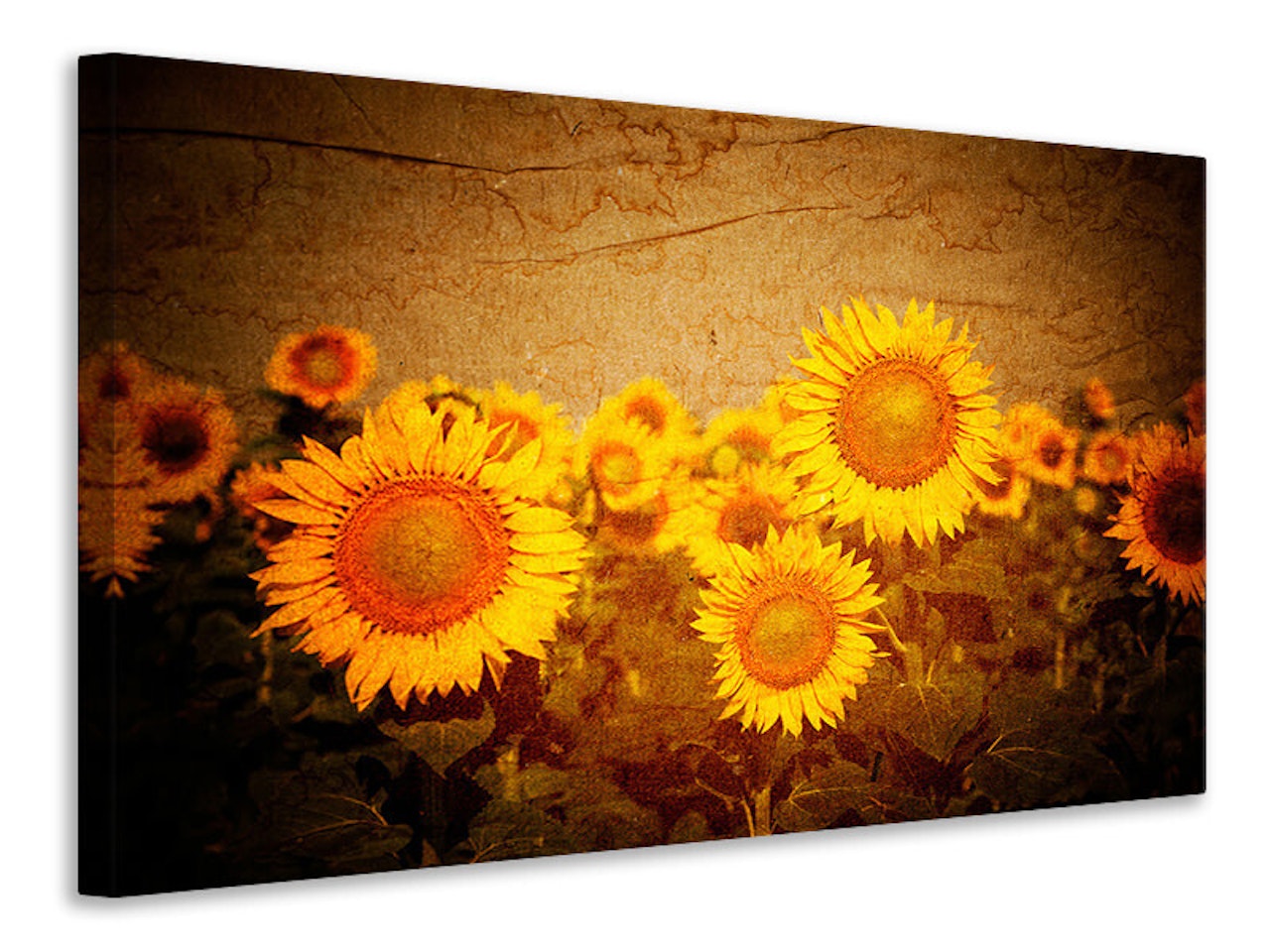 Ljuddämpande tavla - retro sunflower