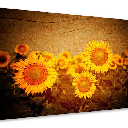 Ljuddämpande tavla - retro sunflower