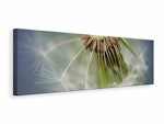 Ljuddämpande tavla - dandelion close up