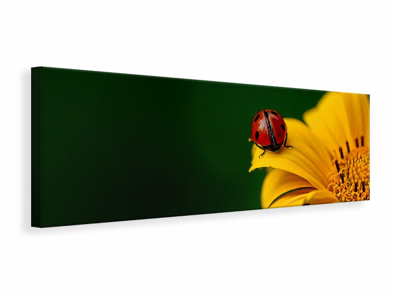 Ljuddämpande tavla - ladybug on the sunflower