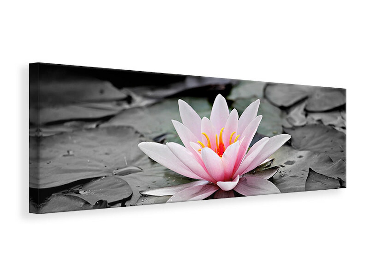 Ljuddämpande tavla - the art of water lily