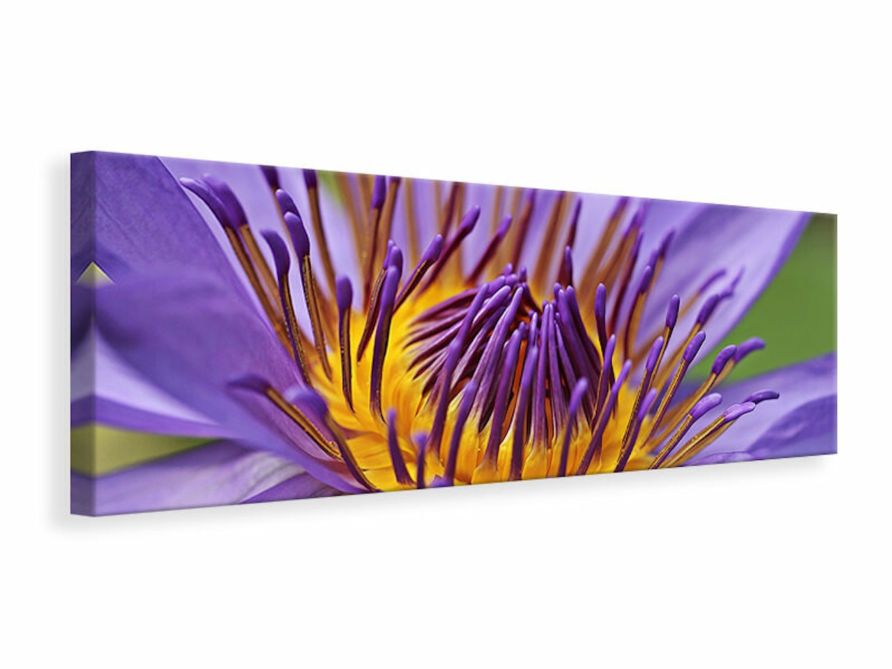 Ljuddämpande tavla - xxl water lily in purple