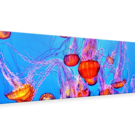 Ljuddämpande tavla - colorful jellyfish