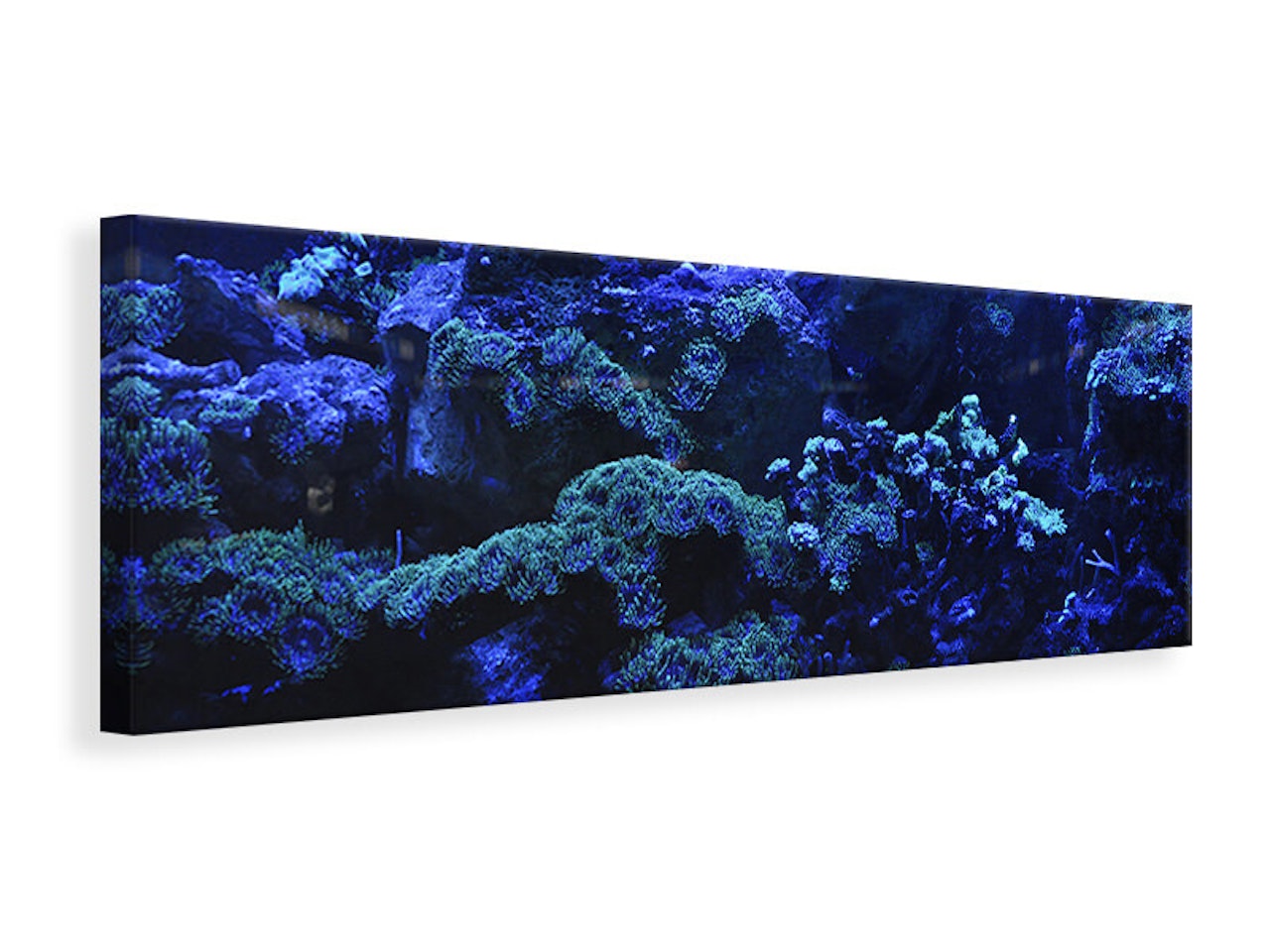 Ljuddämpande tavla - coral reef in blue